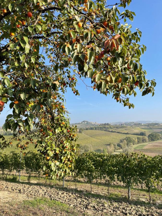 カスタニョーレ・デッレ・ランツェLocazione Turistica Cascina Pelaアパートメント エクステリア 写真